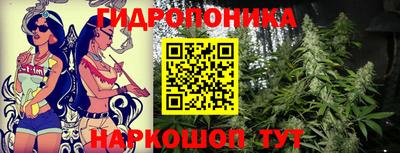 мяу мяу мука Жуковский