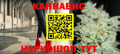 шишки Заводоуковск