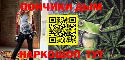 шишки Заводоуковск