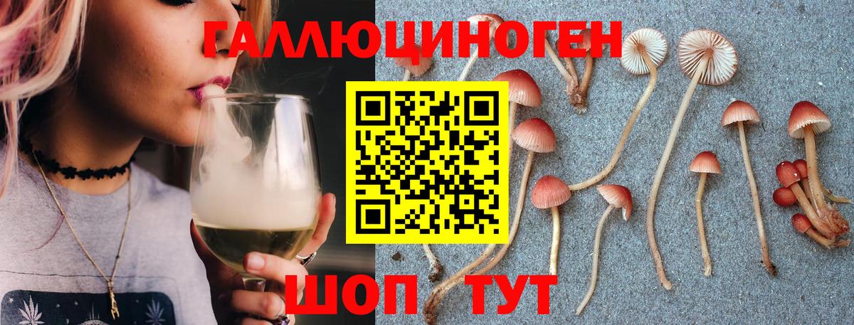 Галлюциногенные грибы Cubensis Арсеньев